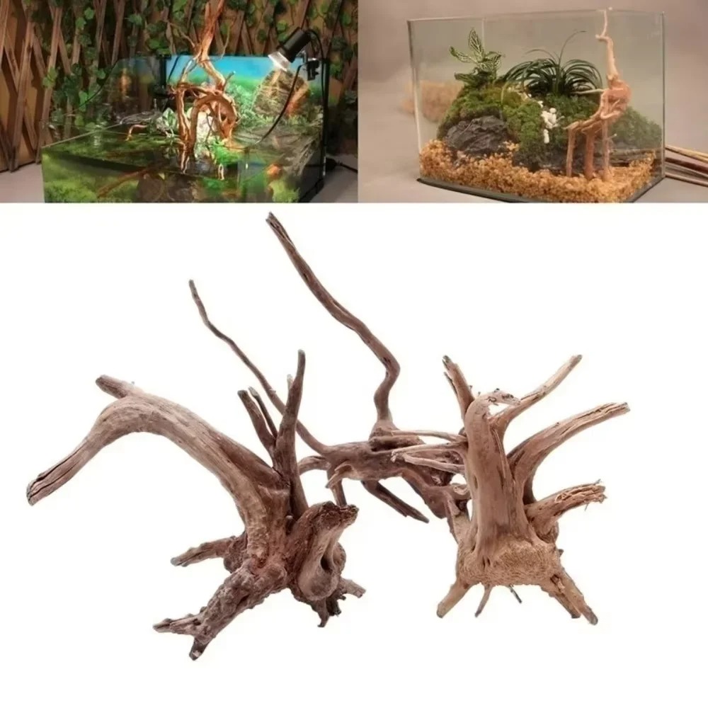 Marine Fish Tank - ไม้ลอยน้ำธรรมชาติขนาด 15-20 ซม. สำหรับตกแต่งตู้ปลา - ของตกแต่งตู้ปลาคุณภาพพรีเมียม