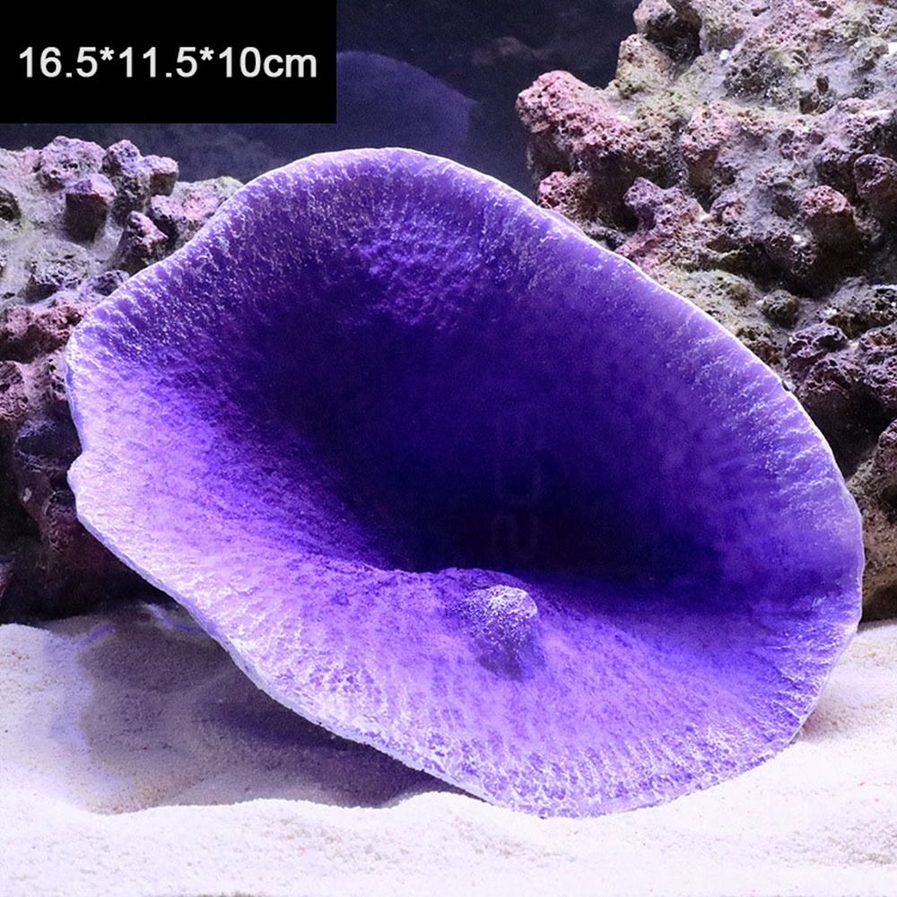 โมเดลปะการังเทียมเรซิ่น สำหรับ - Marine Coral บทวิจารณ์และราคา