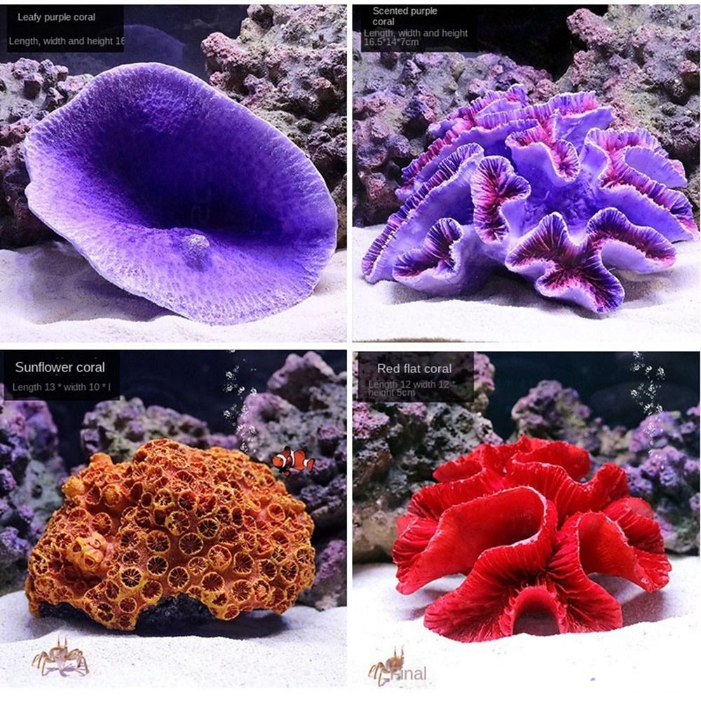 โมเดลปะการังเทียมเรซิ่น สำหรับ - Marine Coral บทวิจารณ์และราคา