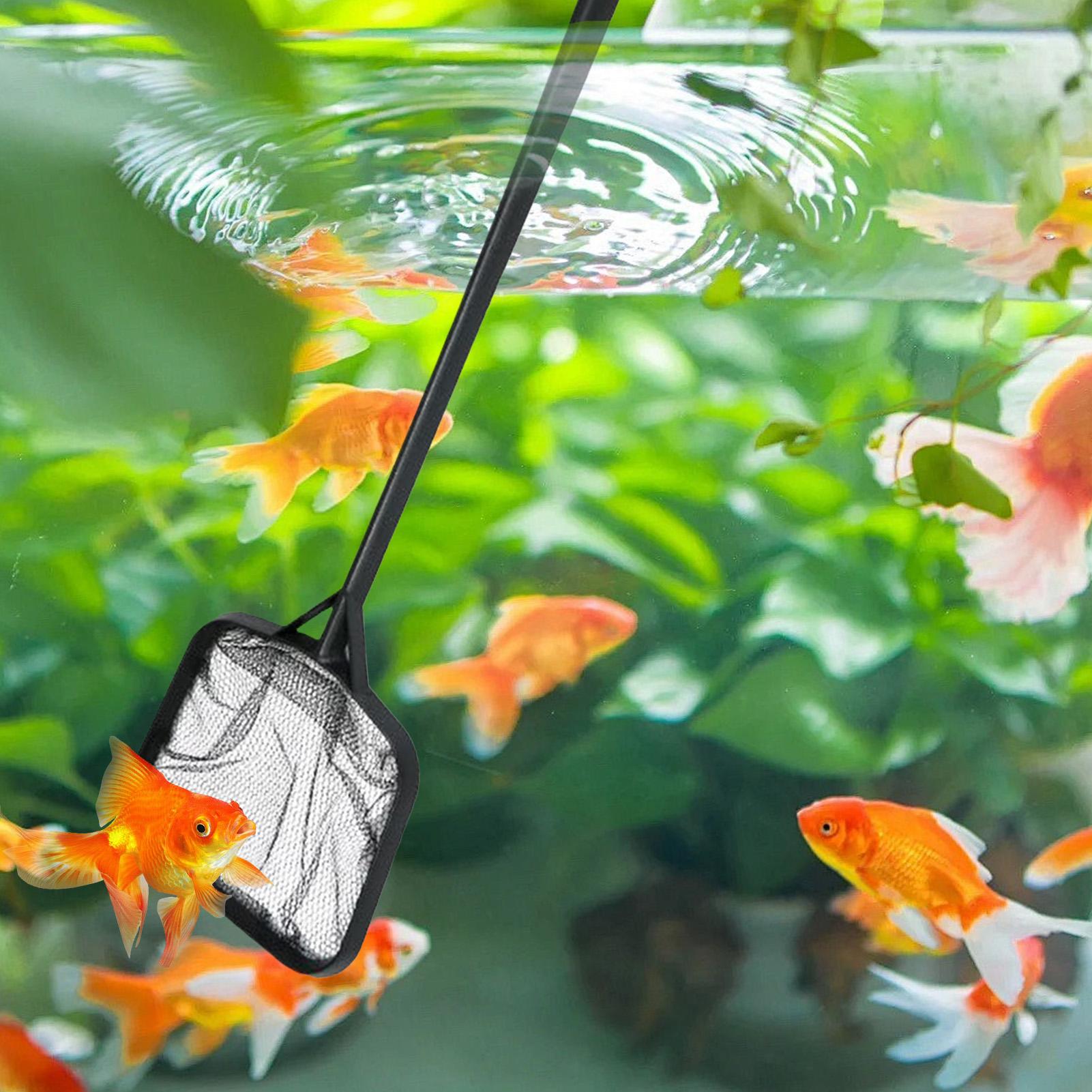 ตาข่ายทำความสะอาดสระว่ายน้ำแบบ - Ocean Aquarium บทวิจารณ์และราคา