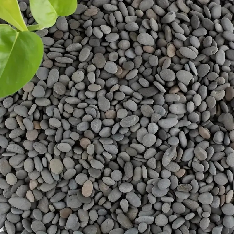 20 ชิ้นธรรมชาติ River Rocks Sm - Marine Fish Tank บทวิจารณ์และราคา
