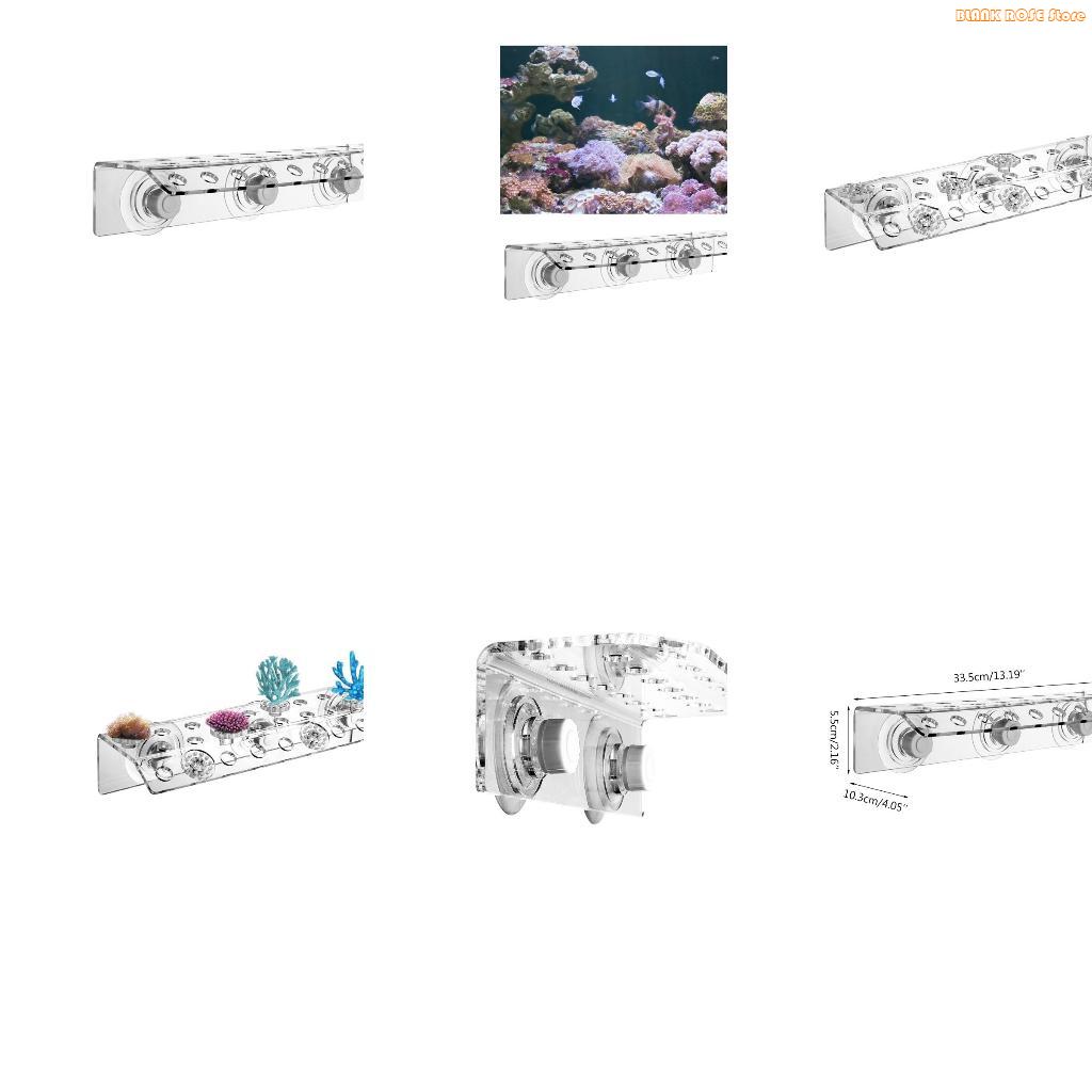 K1AE ชั้นวาง Frag ปะการังอะคริ - Reef Aquarium บทวิจารณ์และราคา