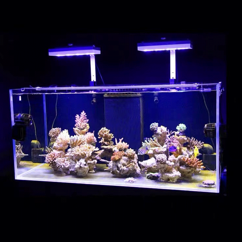 ไฟ LED สำหรับตู้ปลาทะเล Aqua I - Marine Coral บทวิจารณ์และราคา