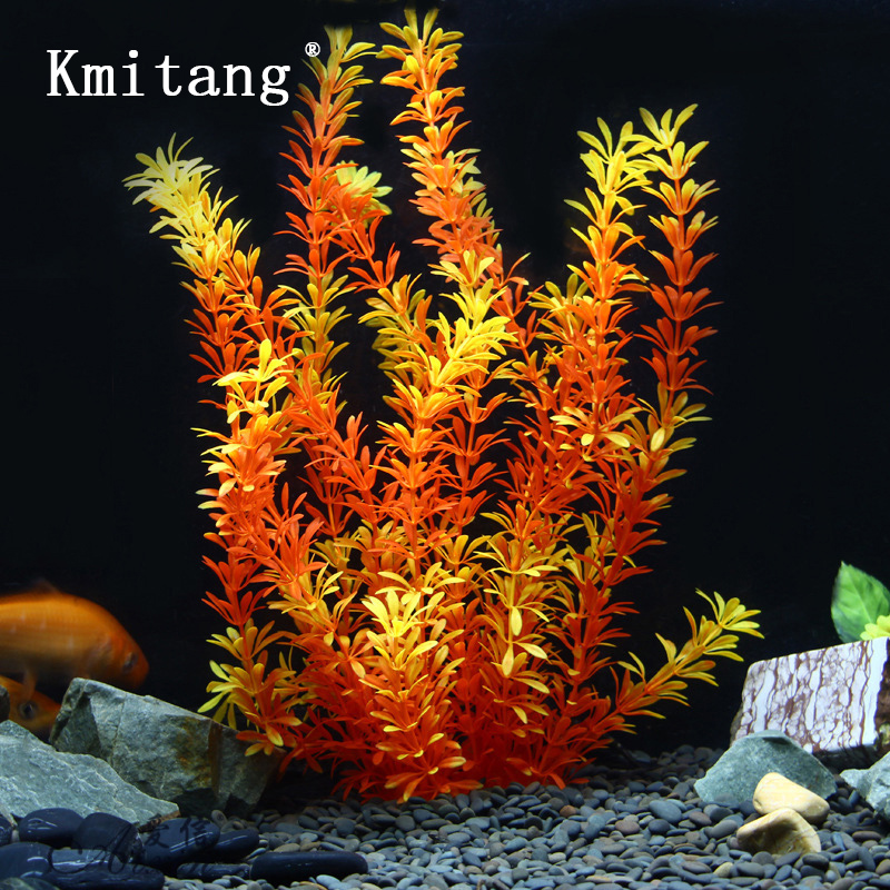 ต้นไม้เขตร้อนขนาด 100 ซม. หญ้า - Marine Aquarium บทวิจารณ์และราคา