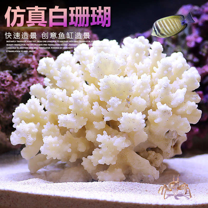ชุดตกแต่งตู้ปลาขนาดเล็ก ต้นปะก - Marine Aquarium Epoxy บทวิจารณ์และราคา
