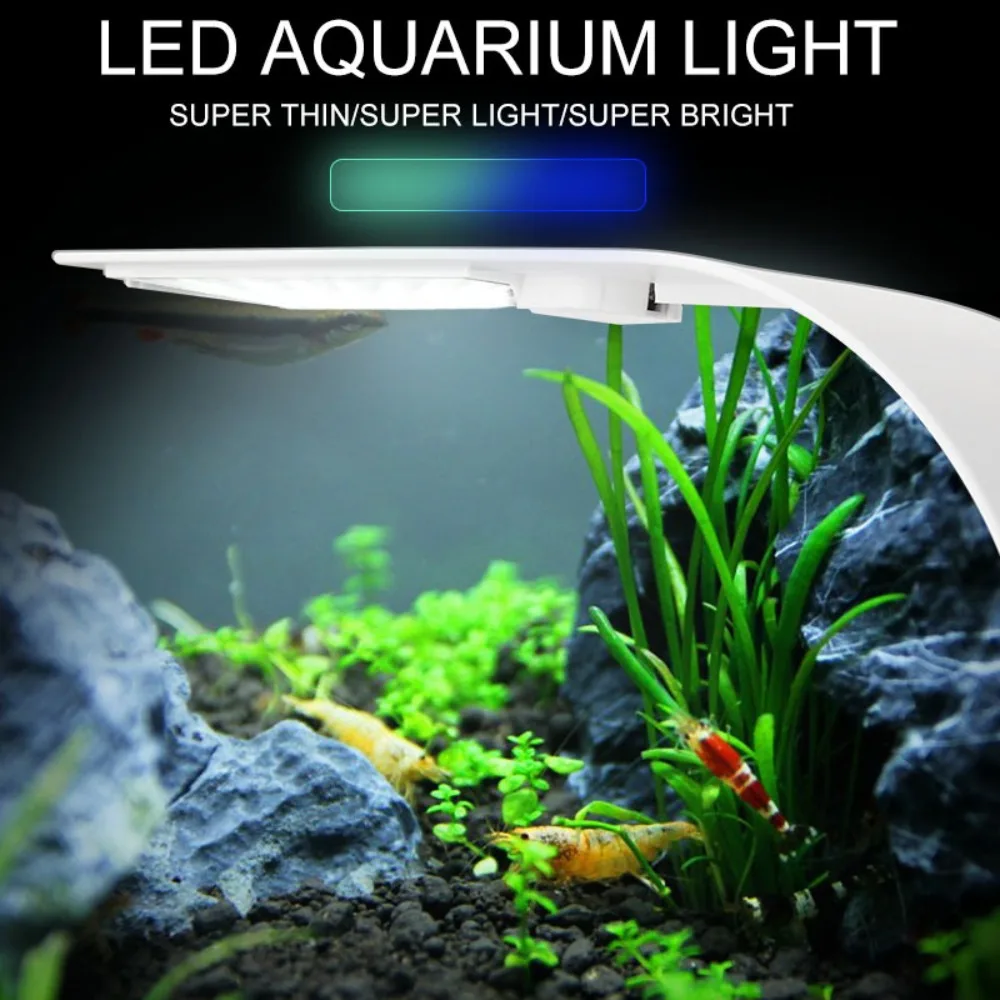5W Mini LED Aquarium Light,โคม - Reef Lighting บทวิจารณ์และราคา