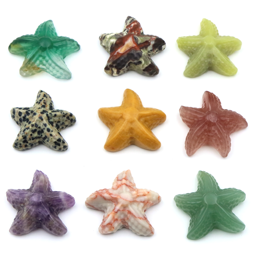รูปปั้นปลาดาวขนาด 35 มม. รูปทร - Marine Aquarium บทวิจารณ์และราคา