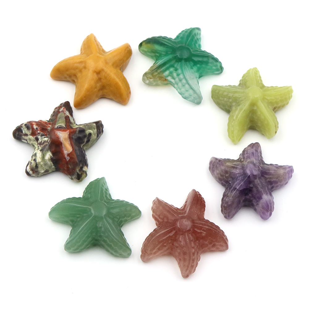 รูปปั้นปลาดาวขนาด 35 มม. รูปทร - Marine Aquarium บทวิจารณ์และราคา
