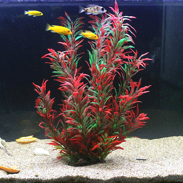 50 ซม.ถังปลาประดิษฐ์พืชหายากAq - Ocean Aquarium บทวิจารณ์และราคา