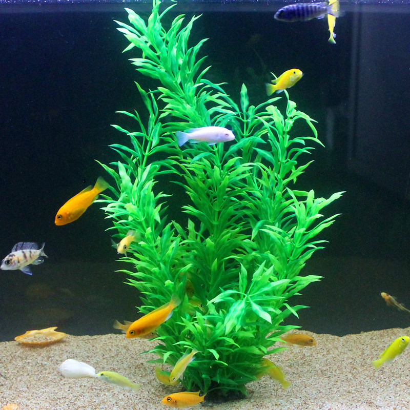 50 ซม.ถังปลาประดิษฐ์พืชหายากAq - Ocean Aquarium บทวิจารณ์และราคา