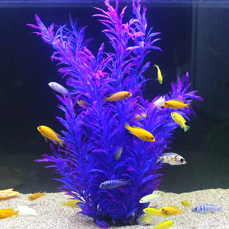 50 ซม.ถังปลาประดิษฐ์พืชหายากAq - Ocean Aquarium บทวิจารณ์และราคา