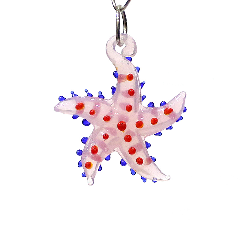 สัตว์ทะเลน่ารักปลาดาวเสน่ห์แก้ - Marine Aquarium บทวิจารณ์และราคา