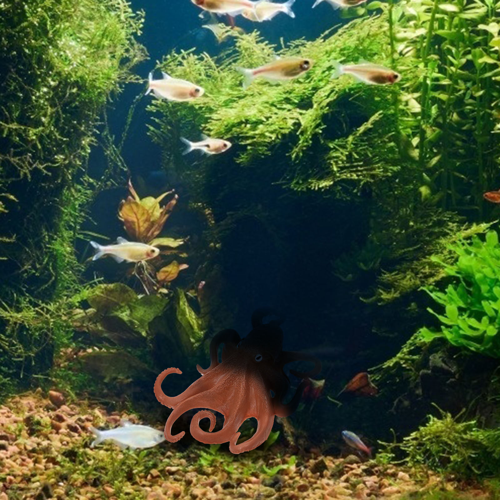 โมเดลปลาหมึกพลาสติกสมจริง ของต - Marine Aquarium บทวิจารณ์และราคา