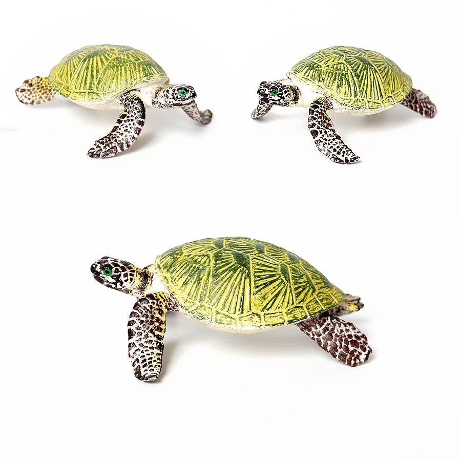 โมเดลเต่าทะเลขนาดเล็กเหมือนจริ - Ocean Aquarium บทวิจารณ์และราคา
